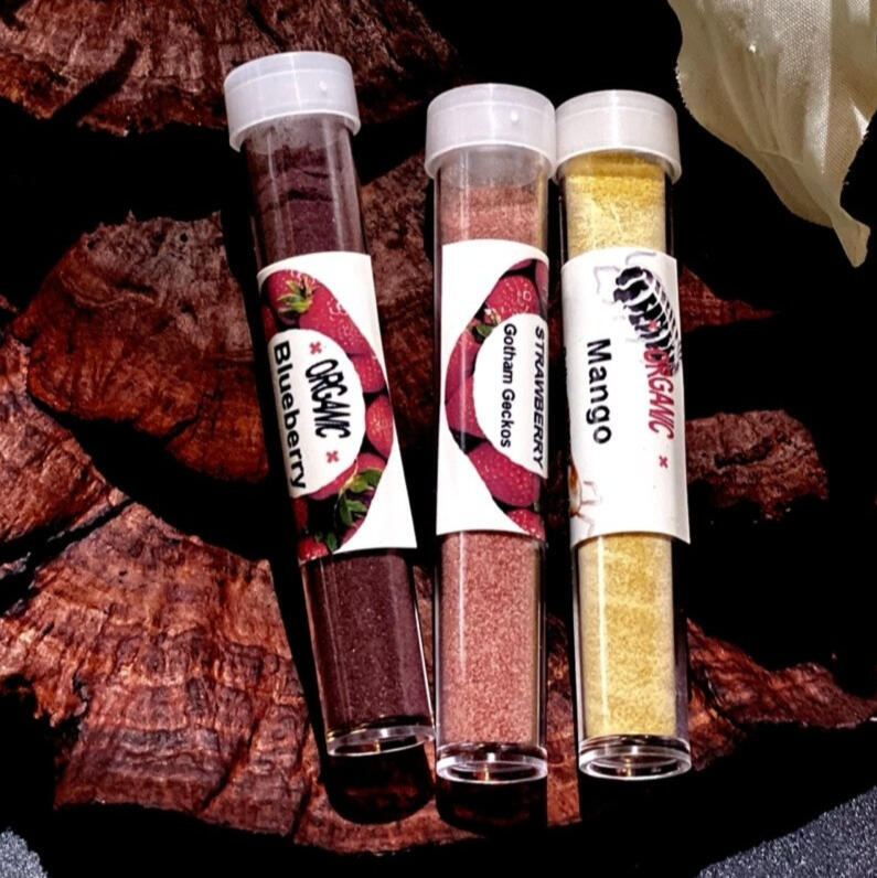 Gotham geckos hot sale